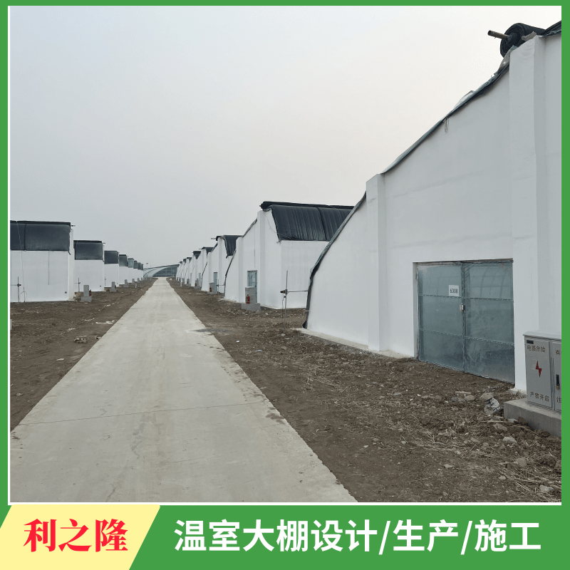 羊舍养殖大棚建造 保温羊棚建设