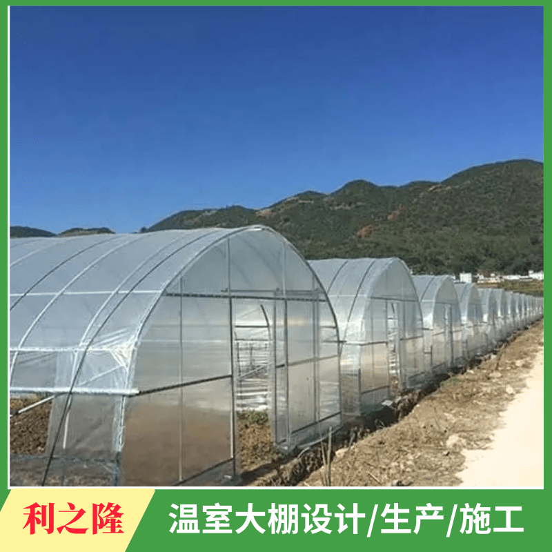 蔬菜大棚 璃温室建设 采光效果好