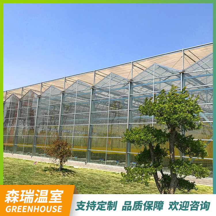 温室工程承建 智能温室 玻璃温室 连栋蔬菜大棚