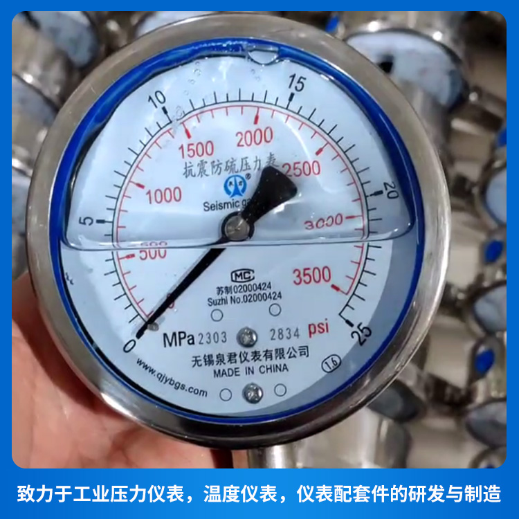 Seismic and Sulfur-Resistant Pressure Gauge, Vibration-Resistant Pressure Gauge, Stainless Steel Pressure Gauge