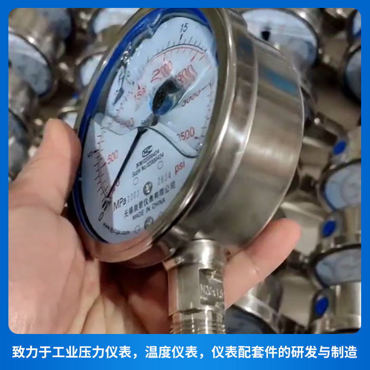 抗震防硫压力表 泉君仪表厂家生产供应耐震压力表