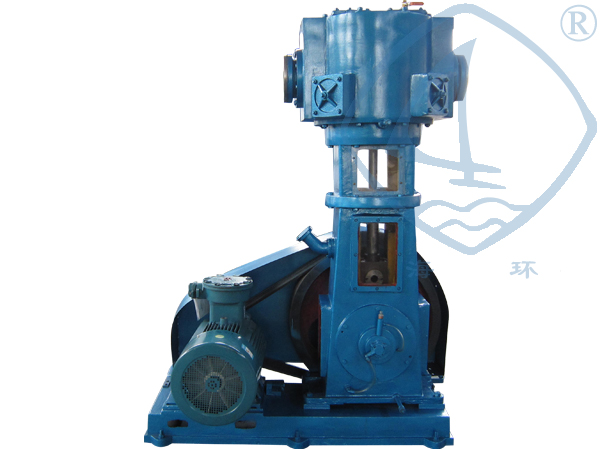 无油立式真空泵