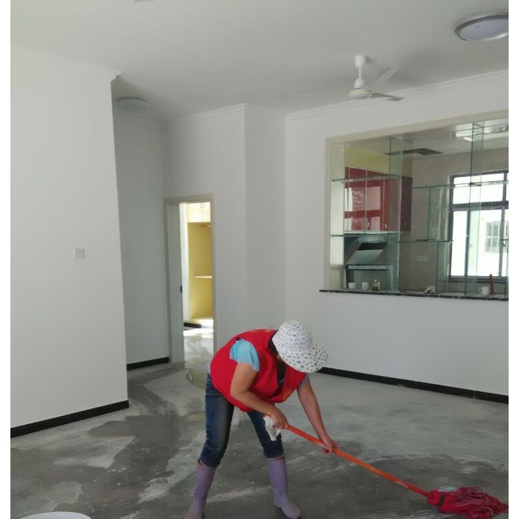 南京江宁区专业打扫卫生家政公司 擦玻璃 日常保洁清理 洗地毯