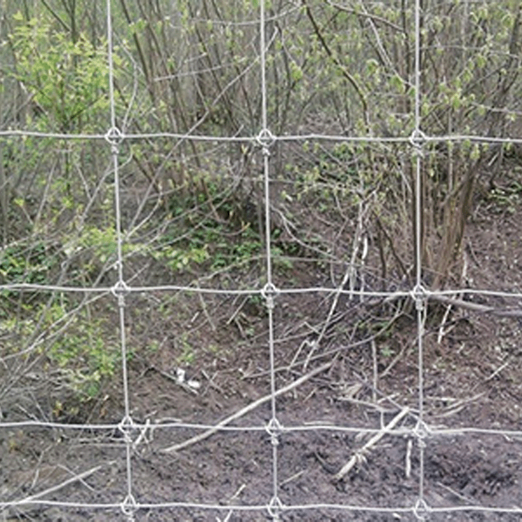 养鹿铁丝护栏网