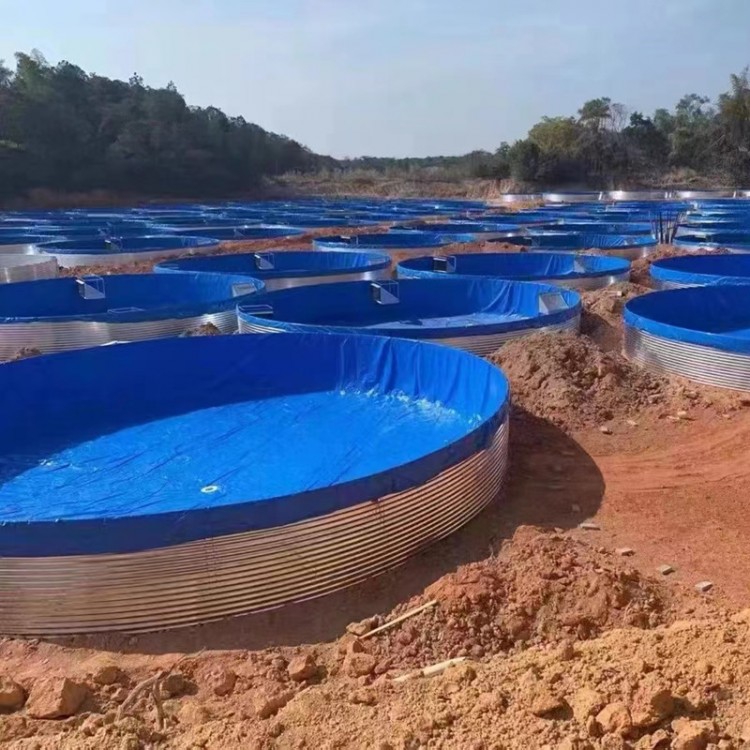 大型养鱼池花鲢鱼苗养殖桶大水位圆桶0.8mm镀锌钢板设备
