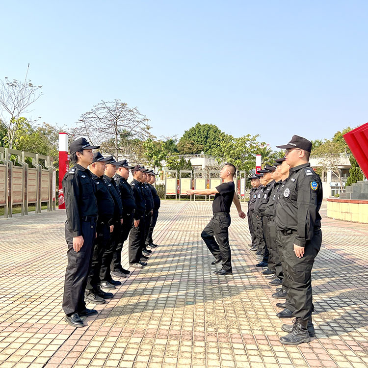 粤保公司队列培训风采