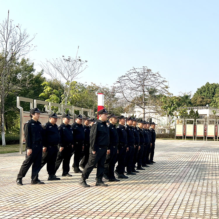 粤保公司队列培训风采