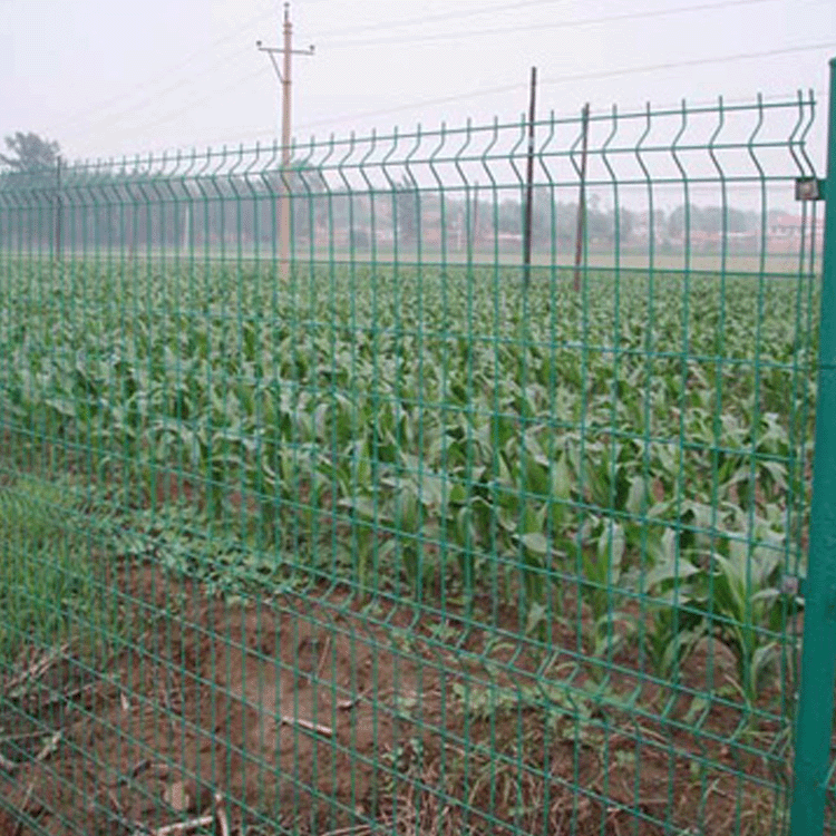 果园护栏网