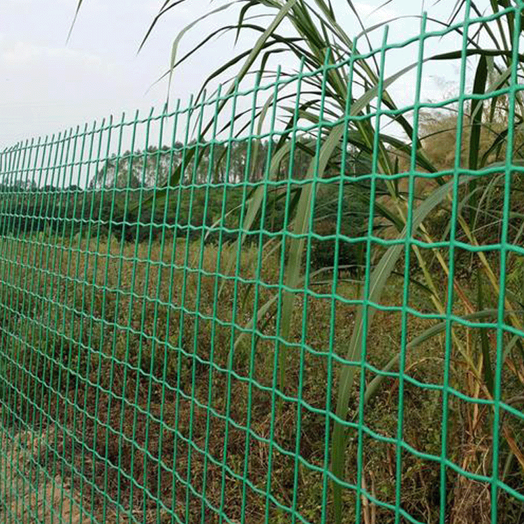 围界用荷兰网护栏