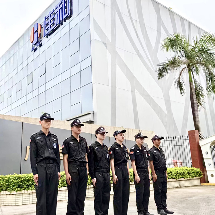 粤保东城分公司-佳和保安队