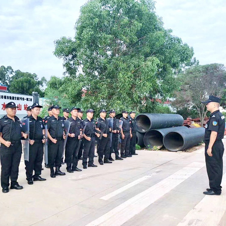 粤保东城分公司-临时保安服务