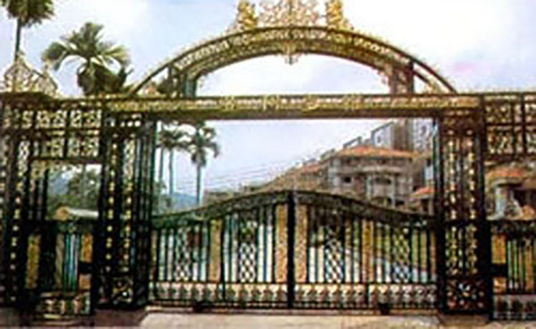 铁艺大门 双开平开铁艺大门私人定做服务