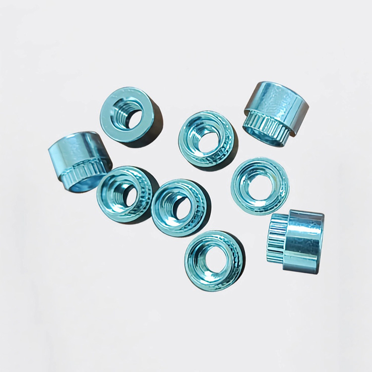 Dongguan Rising Rivet Nuts