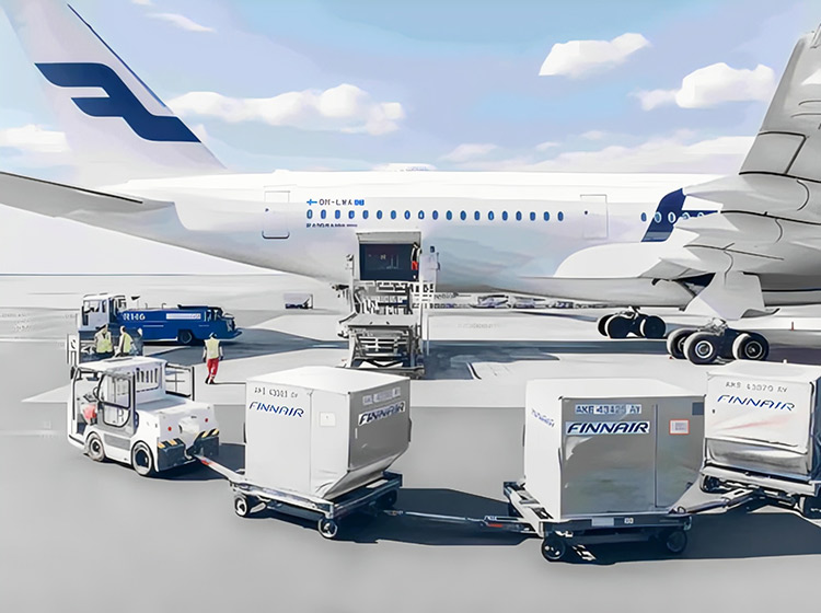 水果蔬菜航空货运