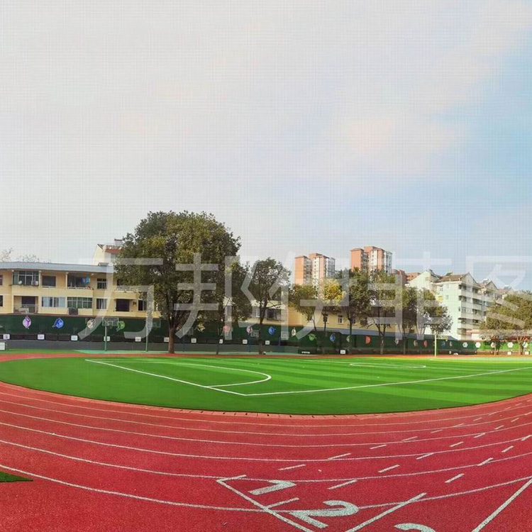 西乡县莲花小学