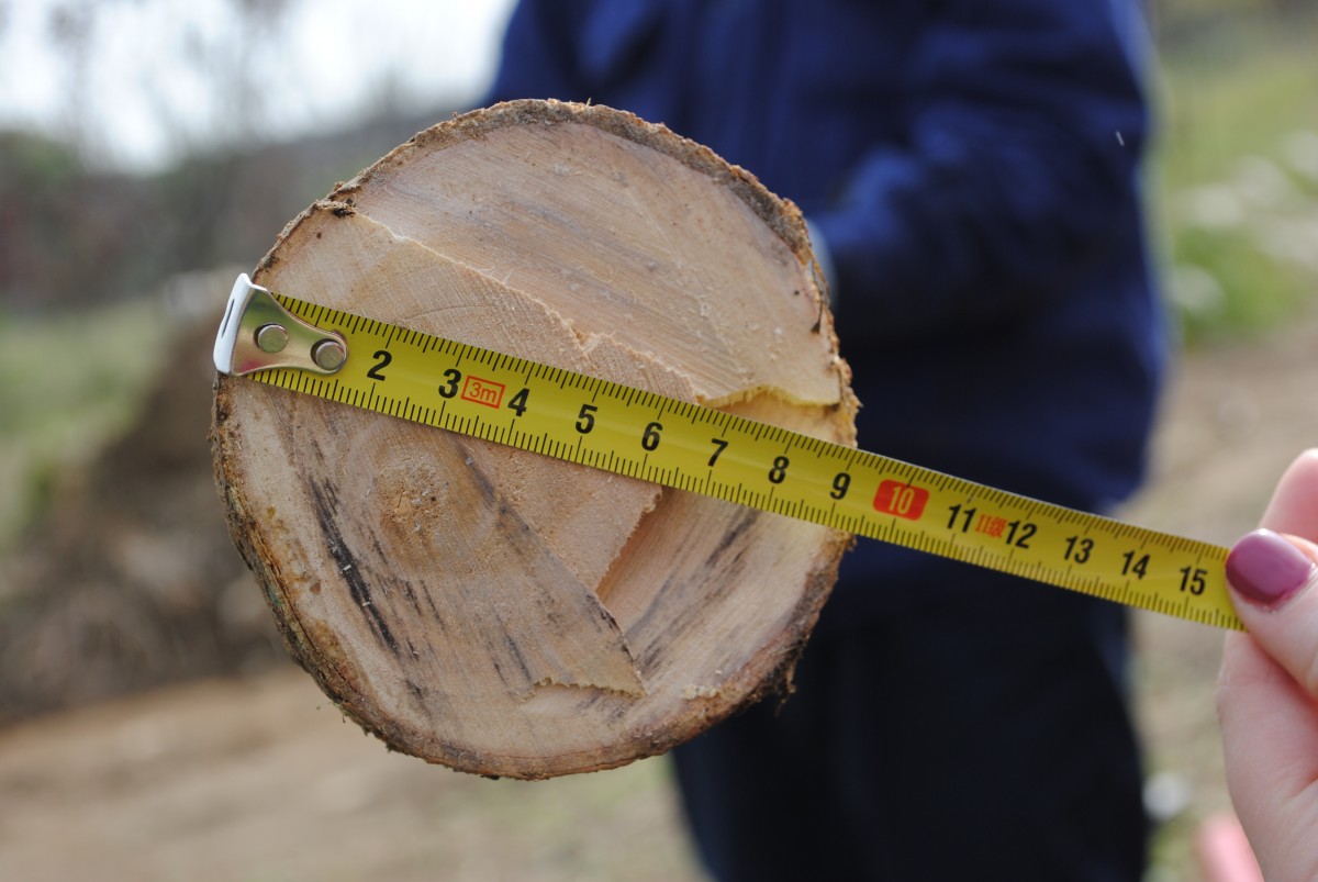威而德园林机械供应进口树枝粉碎机 多功能园林碎枝机