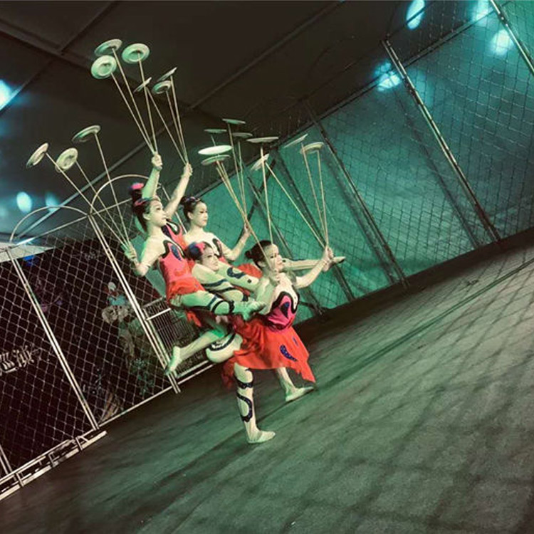 Acrobatic Performance