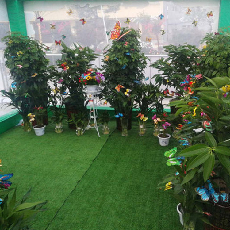 Butterfly Display Performance