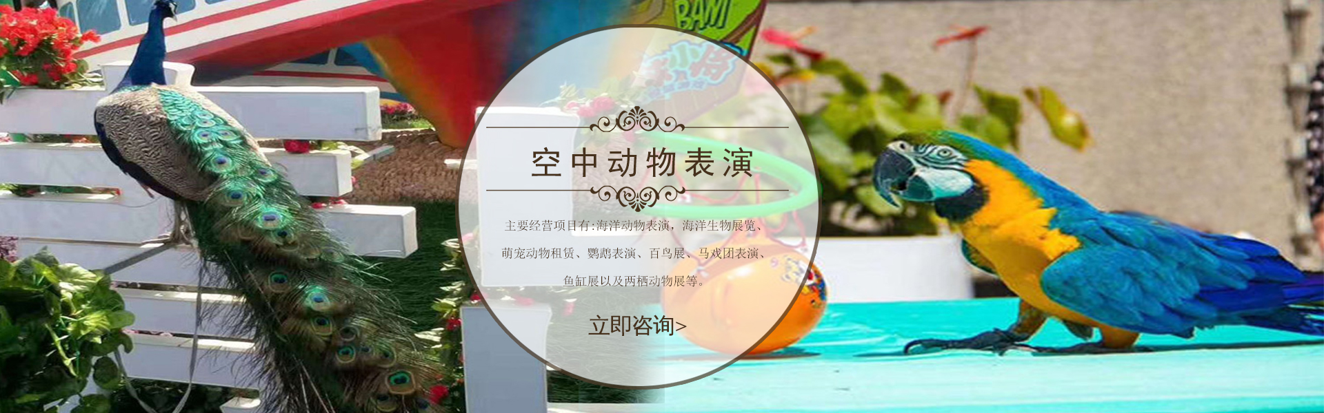 Chunxin Technology Services