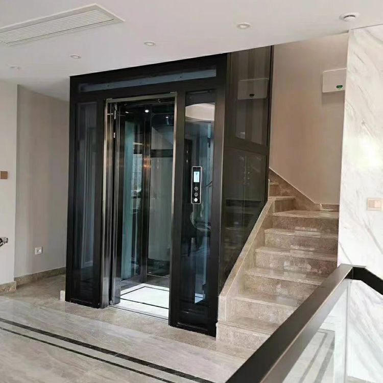 小型家用观光别墅电梯