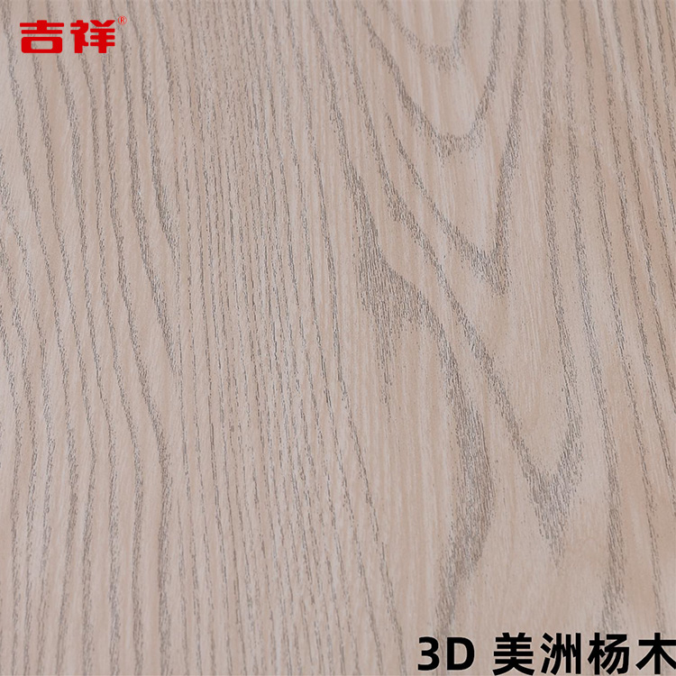 3D-美洲杨木