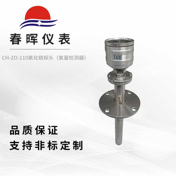 CH ZO 110氧化锆探头氧量检测器