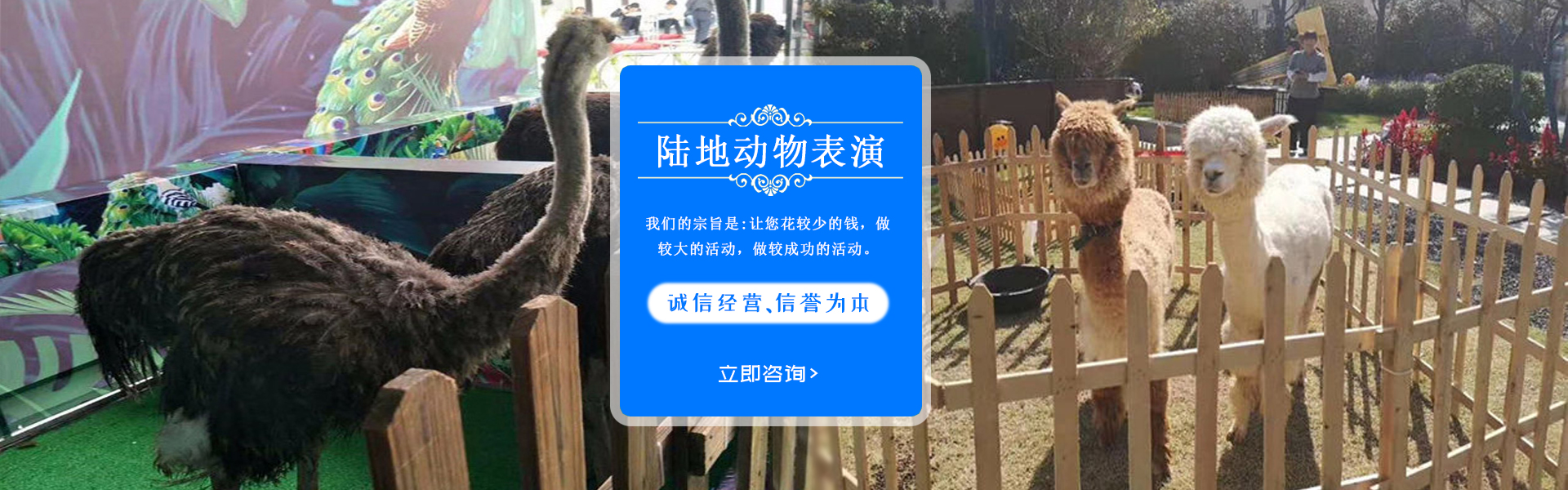 Chunxin Technology Services