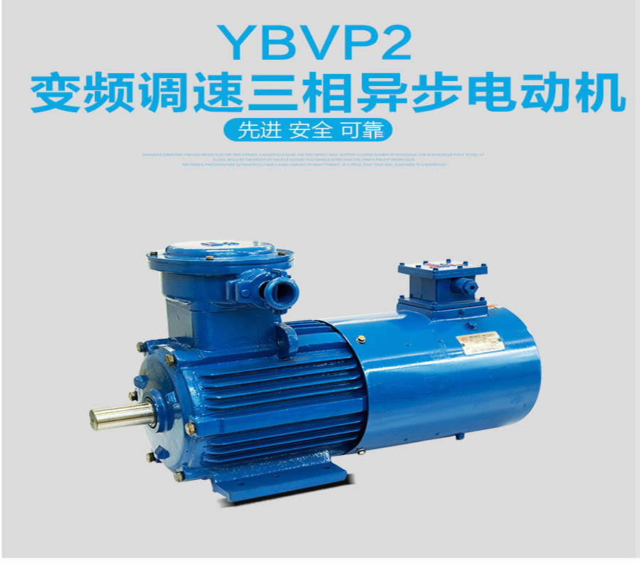 YBVP2-100L1-4型号电机图文展示图1