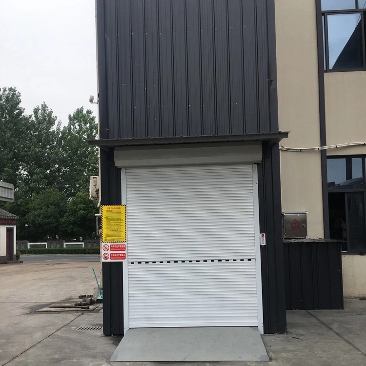 Elevator goods ladder