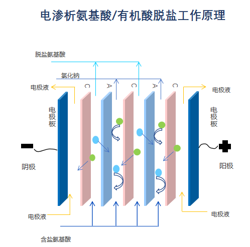 氨基酸电渗析设备