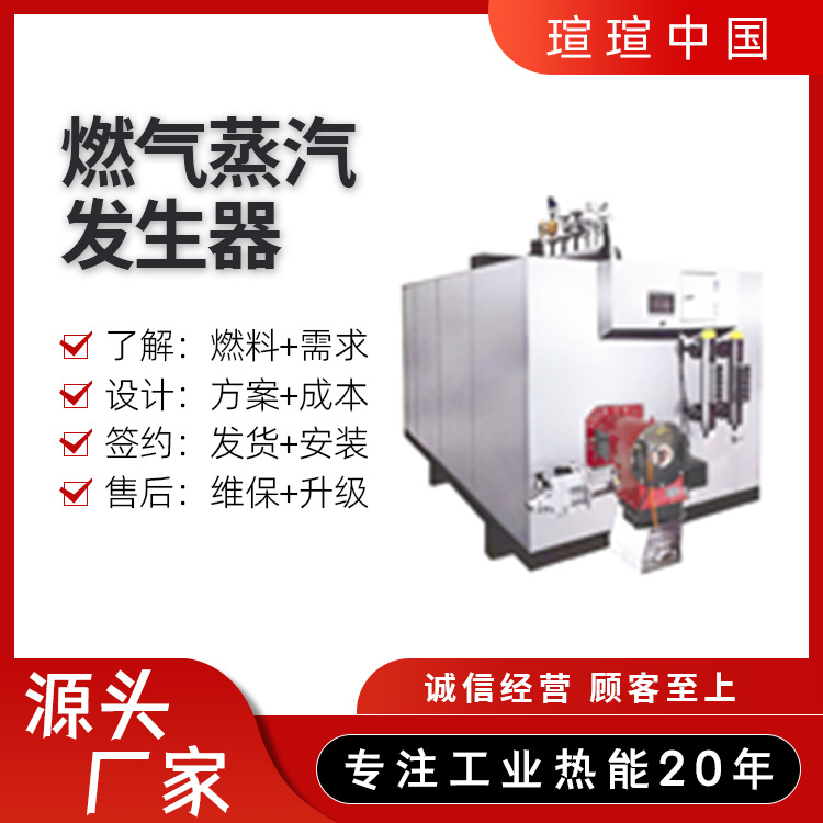 燃气蒸汽发生器