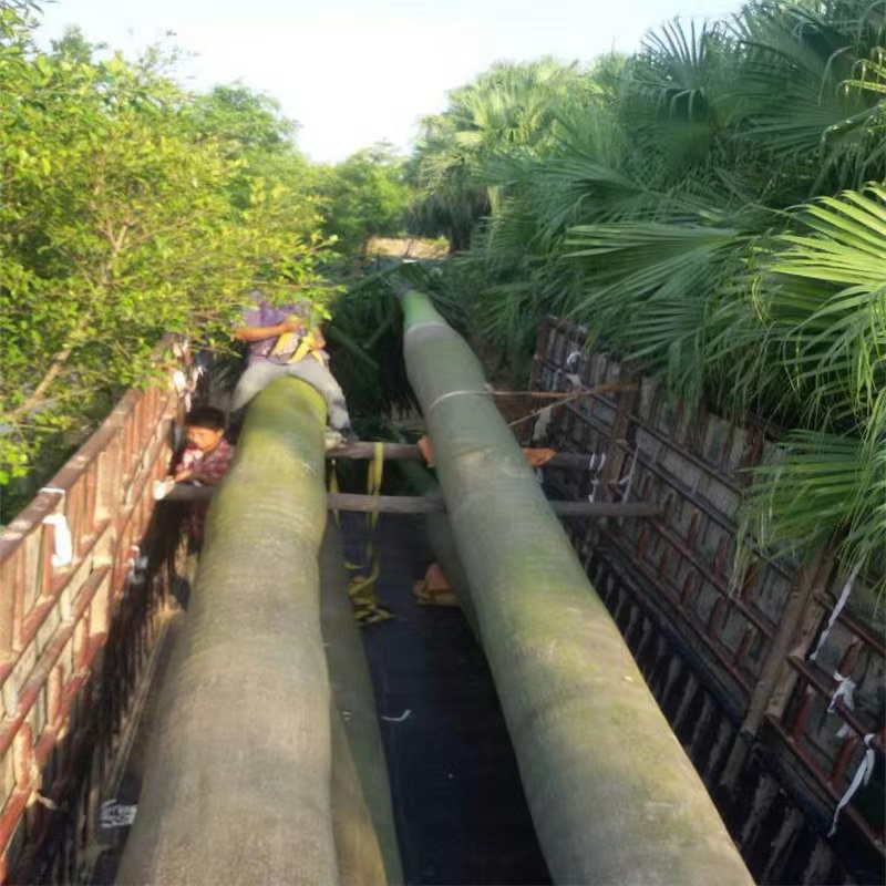 大王椰子 工厂  批发零售 货发全国