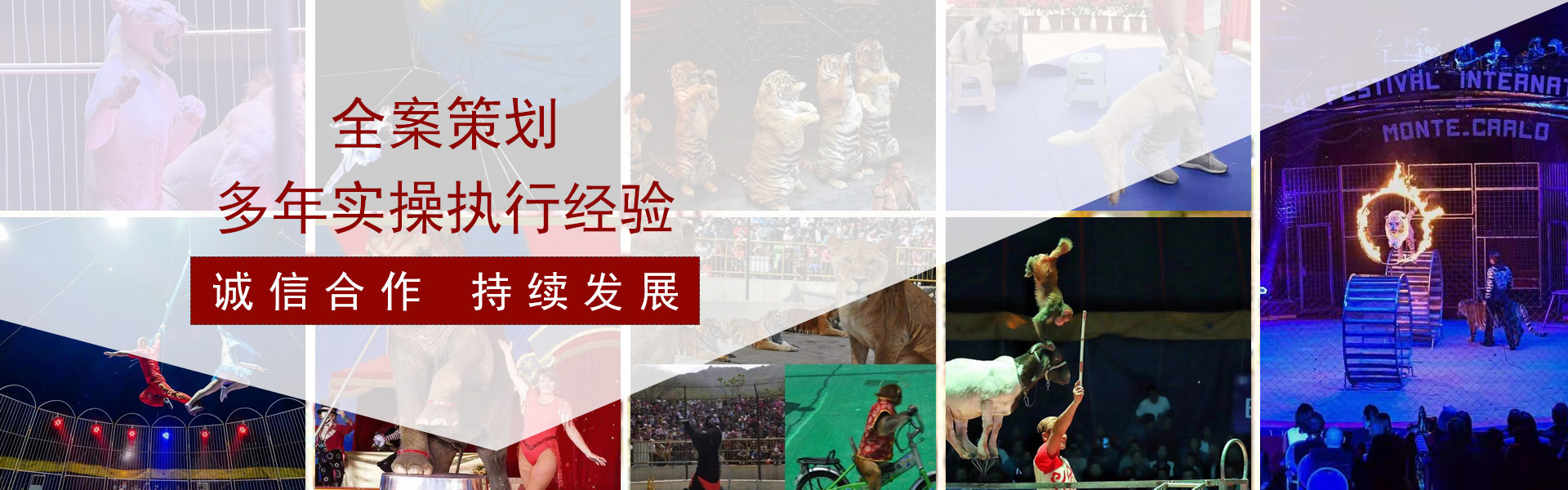 Chunxin Technology Services