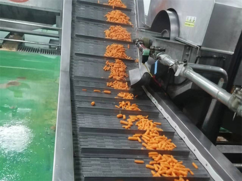 Curved incline conveyor line manufacturer