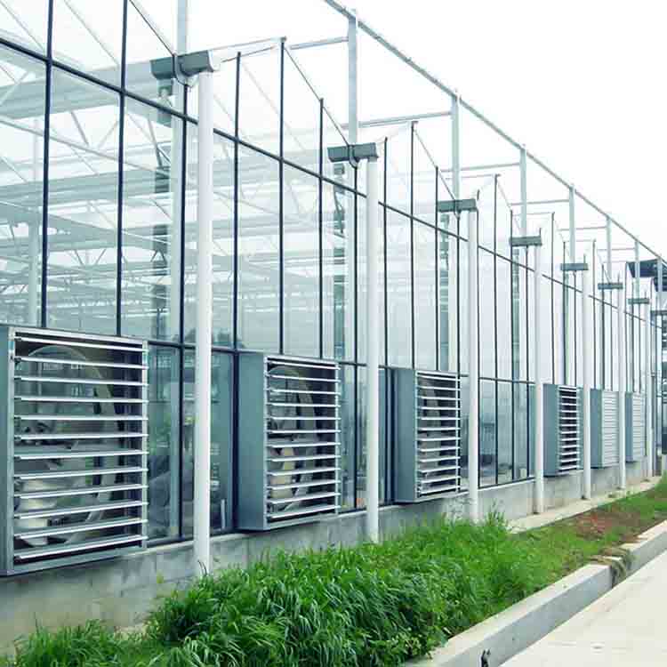Glass Greenhouse