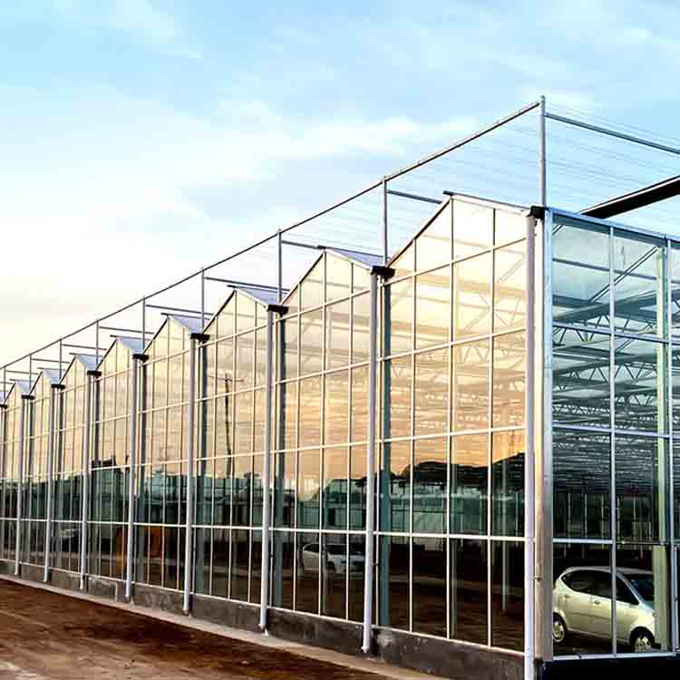 Glass Greenhouse