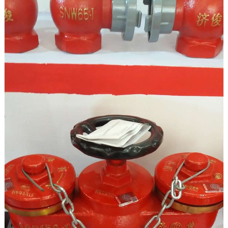 多用式消防水泵接合器生产企业 SQD100-1.6