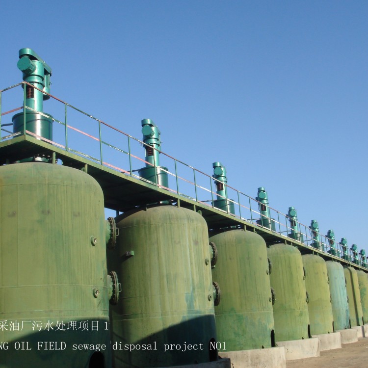大庆采油厂污水处理搅拌装置