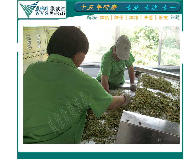 Lonicera japonica Drying Equipment, Lonicera japonica Kill Green Equipment