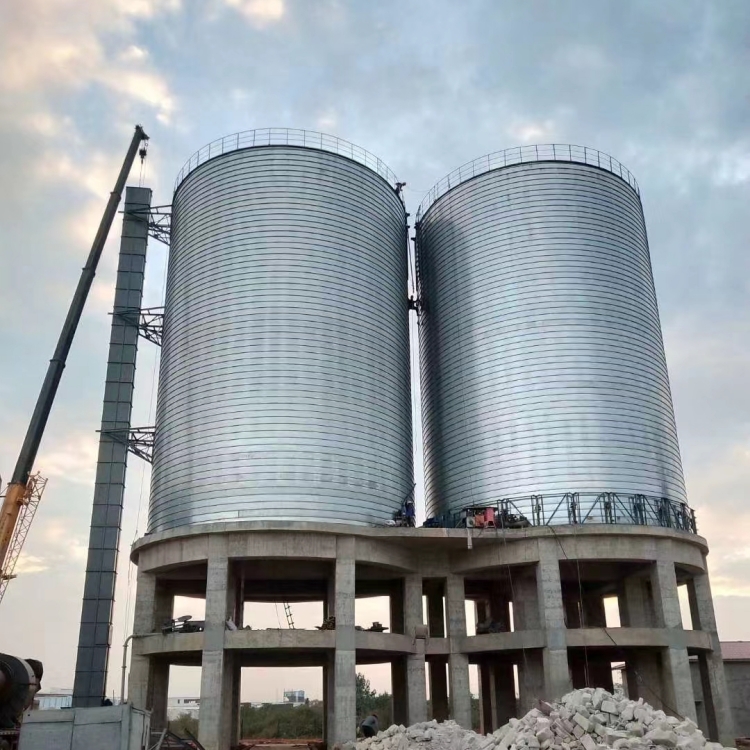 3000吨卷板库施工案例