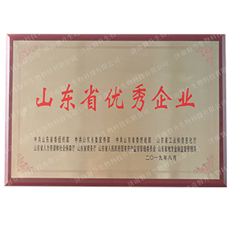 山东省企业
