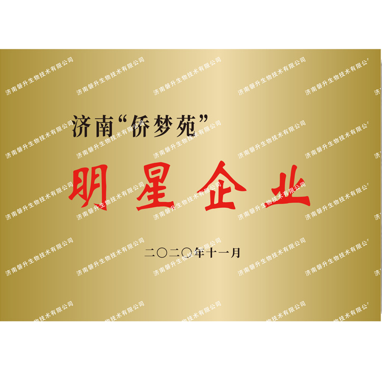 济南“侨梦苑”明星企业