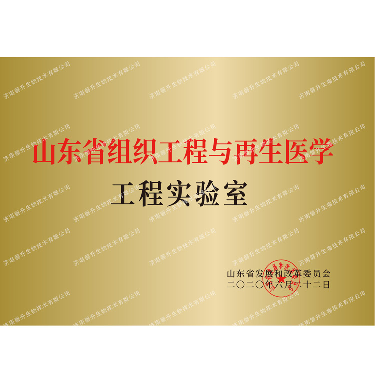 山东省组织工程与再生工程实验室