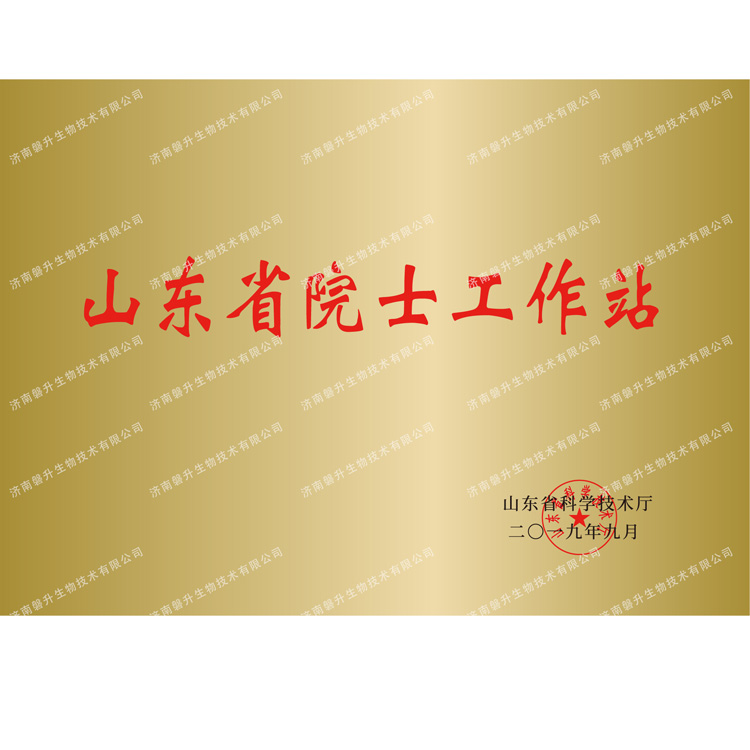 山东省院士工作站