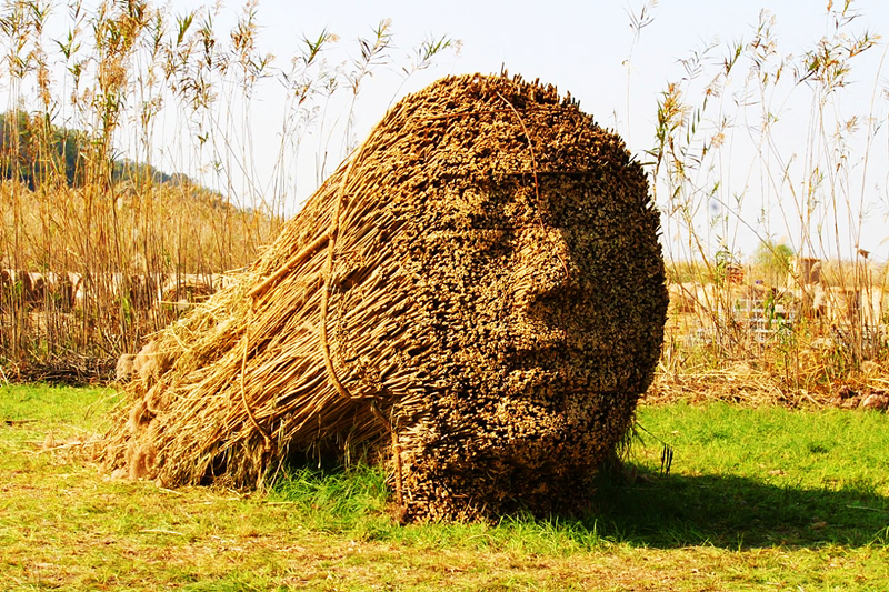 芦苇雕塑 人脸 面孔 立体 面部 雕刻 人物头像