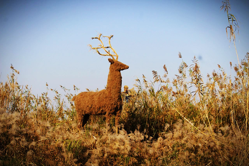 梅花鹿 麋鹿 芦苇雕塑 芦苇花鹿雕塑 立体芦苇艺术品