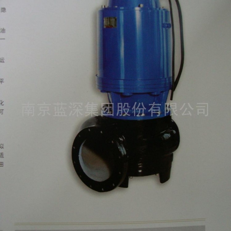 蓝深WQ1000-9.5-45 南京蓝深耦合式安装潜污泵