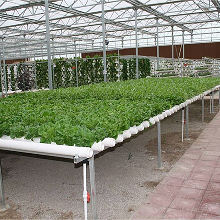 Soilless Cultivation