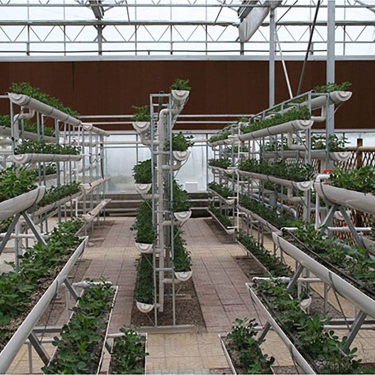 Soilless Cultivation