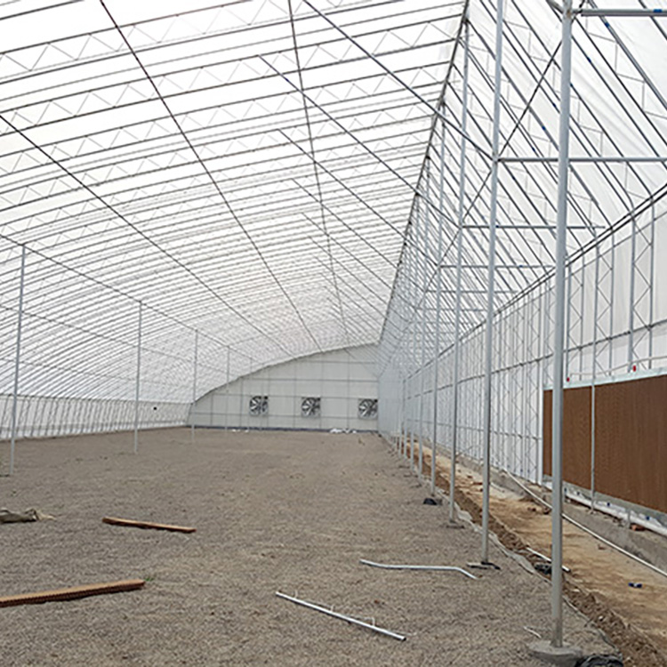 Solar Greenhouse, Vegetables and Fruits, Flowers, Planting Shelters